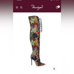 PRIVILEGED “Fonesca” Thigh High Multi Color Boots